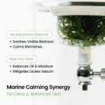 BioDance Seawater Hydrating Mask - Soothing & Cleansing (Green) 5